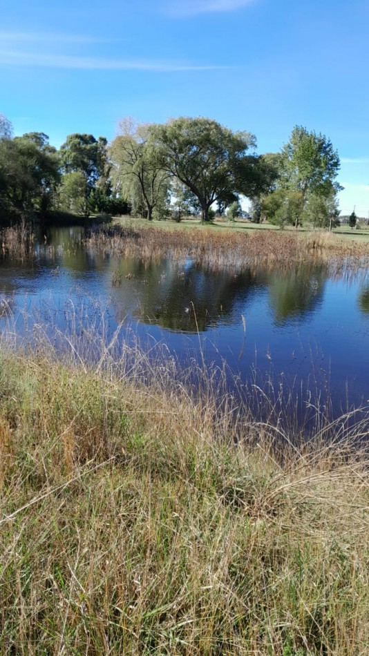 CASAQUINTA 2 HECTAREAS EN AZUL