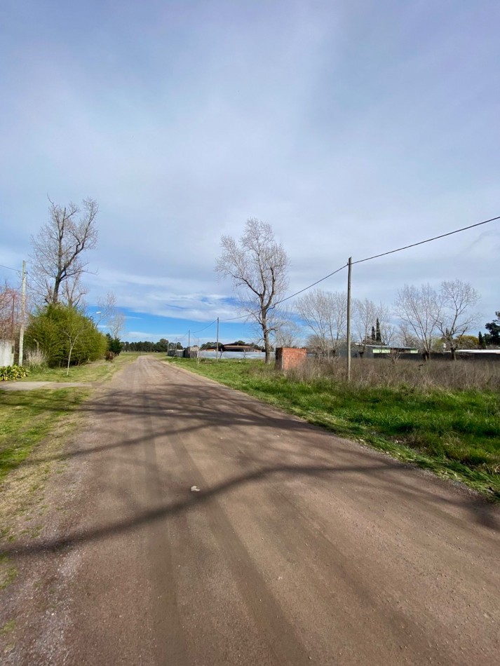 LOTE EN BARRIO LA ARAÑA