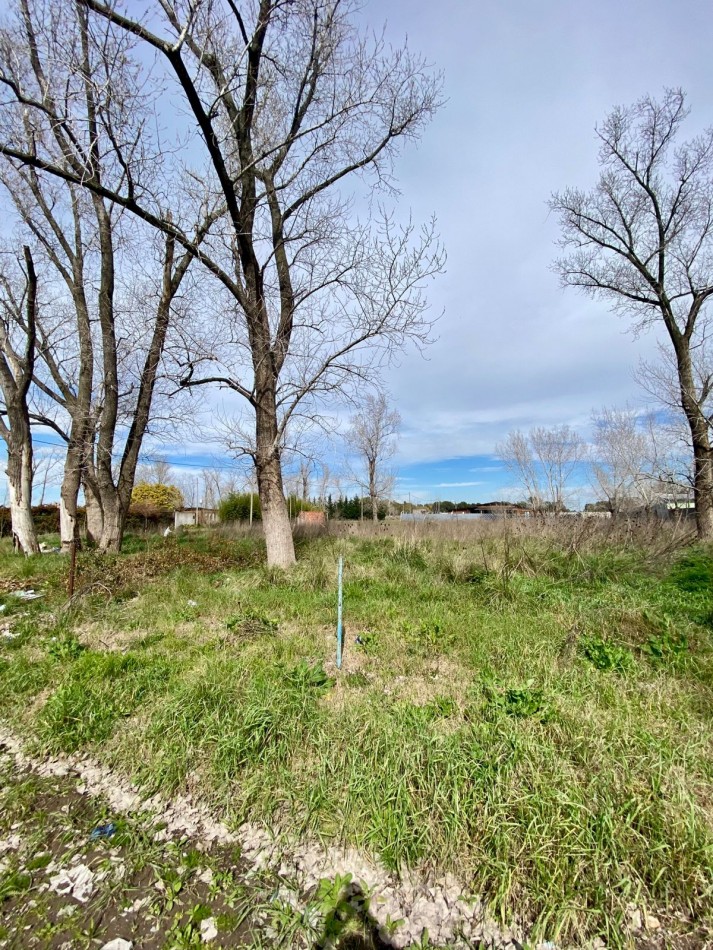 LOTE EN BARRIO LA ARAÑA