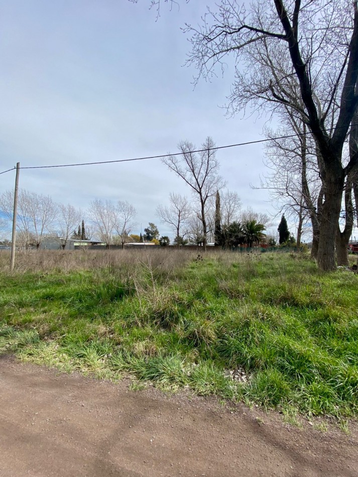 LOTE EN BARRIO LA ARAÑA