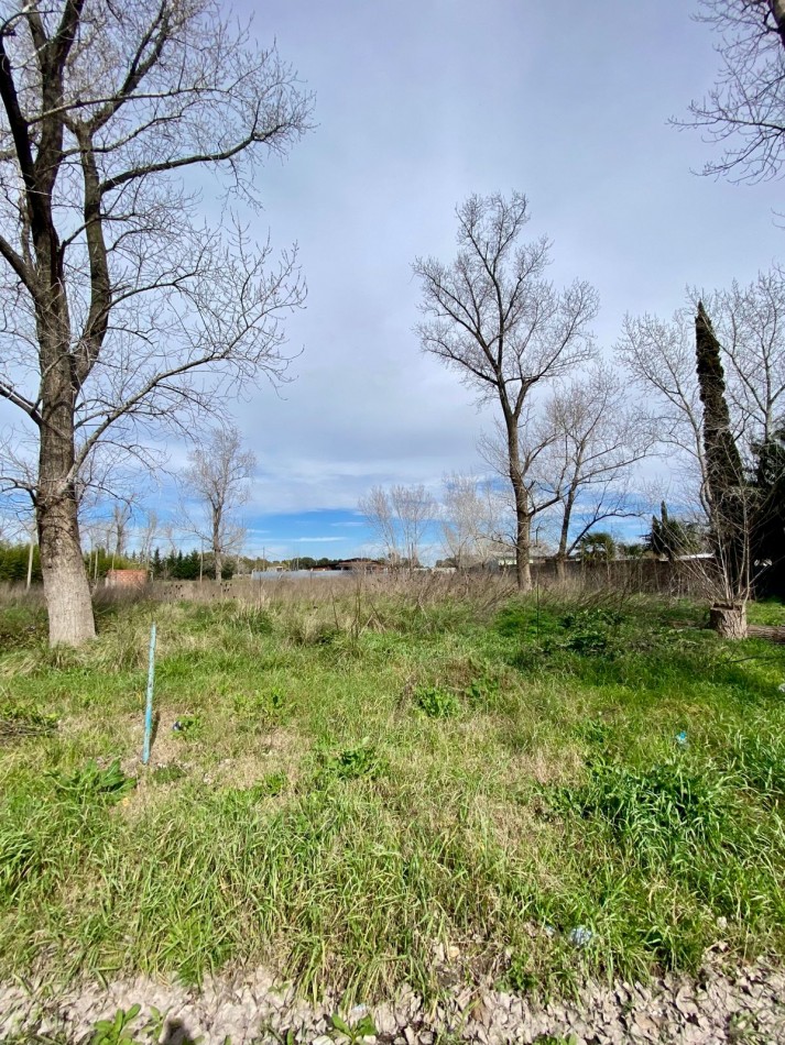 LOTE EN BARRIO LA ARAÑA