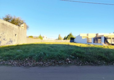 LOTE EN VILLA AURORA