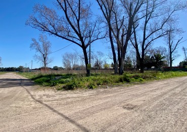 LOTE EN BARRIO LA ARAÑA